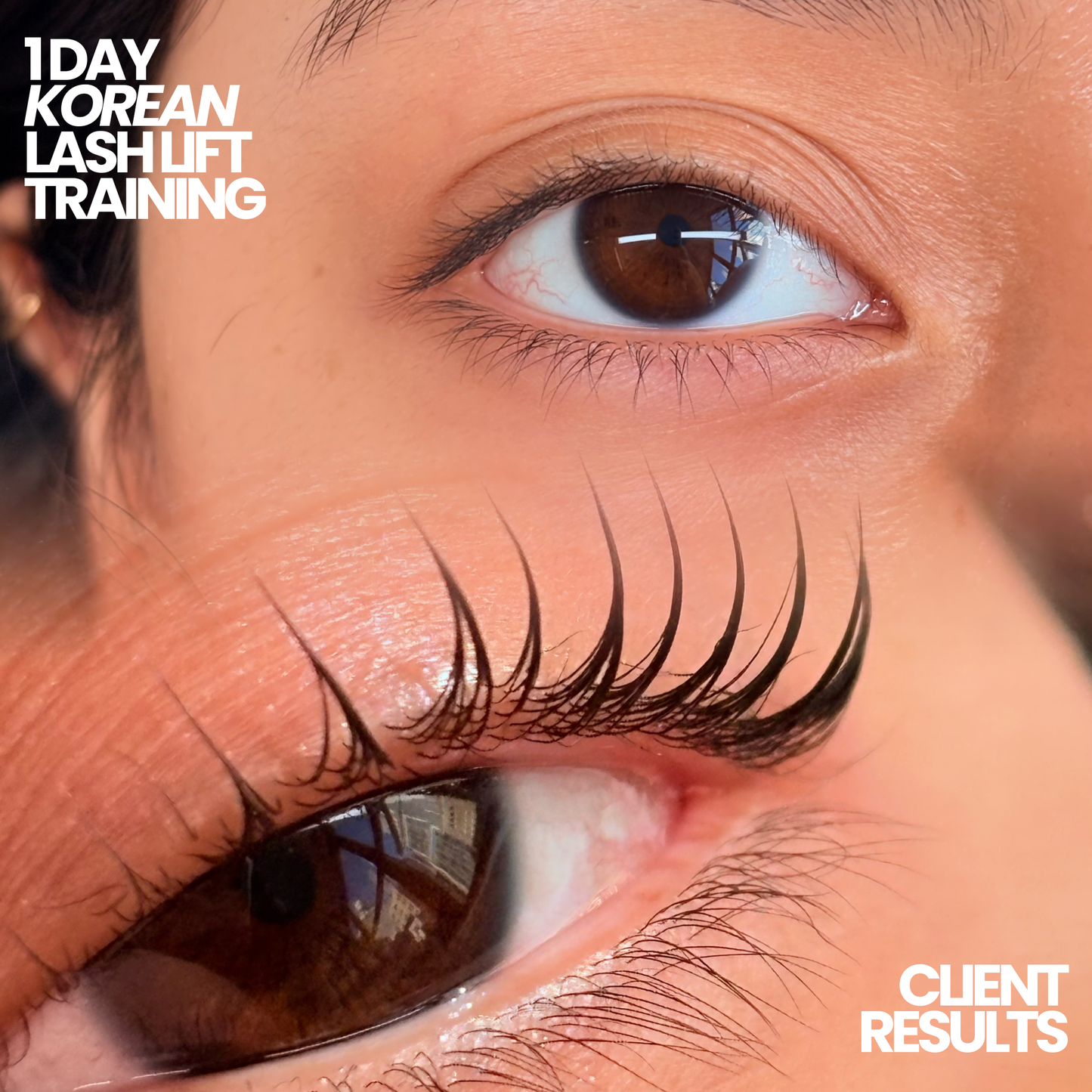 1 Day Korean Lash Lift Training