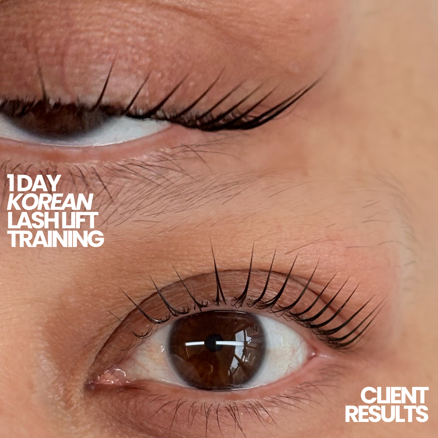 1 Day Korean Lash Lift Training